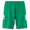 Kappa - 4Soccer Blixo Shorts Green -Soccer Sale Shop 321442WWMM