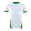 Puma - Jersey TeamGOAL White / Green SS -Soccer Sale Shop 70417115