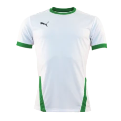 Puma - Jersey TeamGOAL White / Green SS