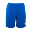Puma - Short TeamRISE Royal -Soccer Sale Shop 70494202