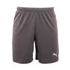 Puma - Short TeamRISE Grey -Soccer Sale Shop 70494213
