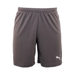 Puma - Short TeamRISE Grey