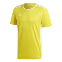 Adidas - Jersey Entrada 18 Yellow SS
