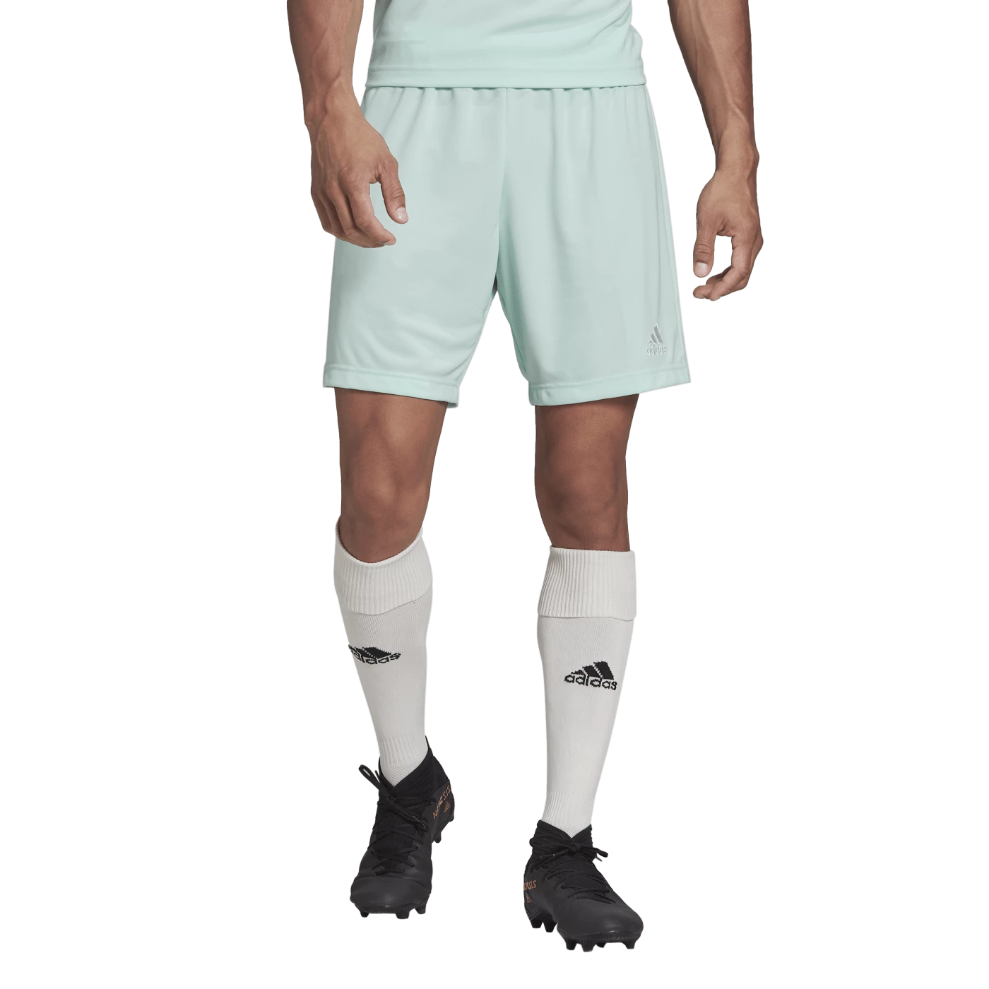 Adidas - Pantaloncino Entrada 22 Verde Menta 4 Adidas - Pantaloncino Entrada 22 Verde Menta - Image 2