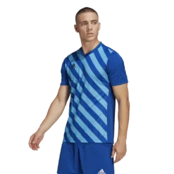 Adidas - Entrada 22 Graphic Sky Blue Royal Jersey -Soccer Sale Shop HF0116 2