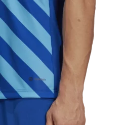 Adidas - Entrada 22 Graphic Sky Blue Royal Jersey -Soccer Sale Shop HF0116 5