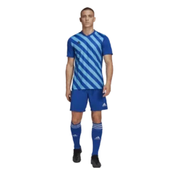 Adidas - Entrada 22 Graphic Sky Blue Royal Jersey -Soccer Sale Shop HF0116 7